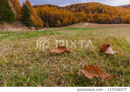 251106 Norikura Youth House z591 133506977