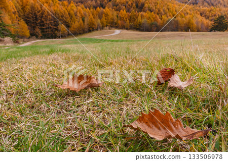 251106 乘倉青年之家 z594 133506978