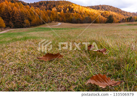 251106 Norikura Youth House z603 251106 Norikura Youth House z603 133506979