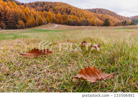 251106 乘倉青年之家 z610 133506981