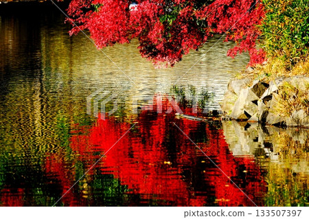 Vivid autumn leaves reflected on the lake surface 133507397