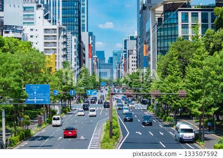 Traffic on Hibiya Street around Onarimon Gate [Urban Image] 133507592