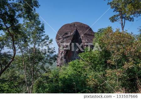 The Elephant shaped stone of Phu Sing forest park in Bueng Kan province of Thailand. The sandstone mountain on Phu Sing was caused by different types of geological changes ofthe Earth's crust. 133507666