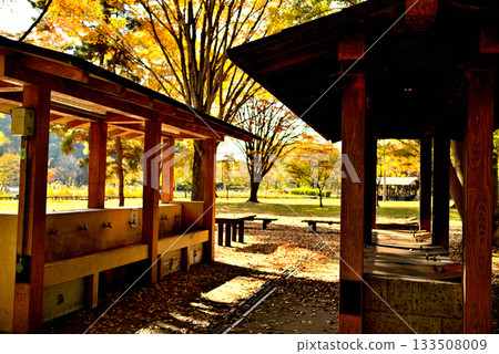 東京水本公園露營地的秋景 133508009