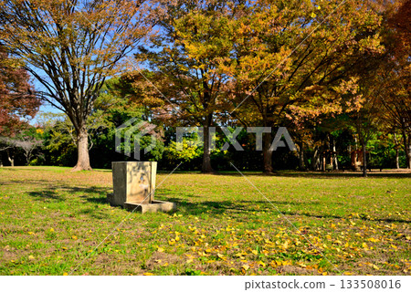 Autumn at the campsite at Mizumoto Park, Tokyo Autumn at the campsite at Mizumoto Park, Tokyo 133508016