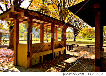 Autumn at the campsite at Mizumoto Park, Tokyo Autumn at the campsite at Mizumoto Park, Tokyo 133508134