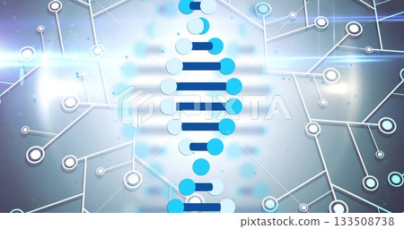 Displaying abstract DNA helix forming on network display with nodes, lines and light flares Displaying abstract DNA helix forming on network display with nodes, lines and light flares 133508738
