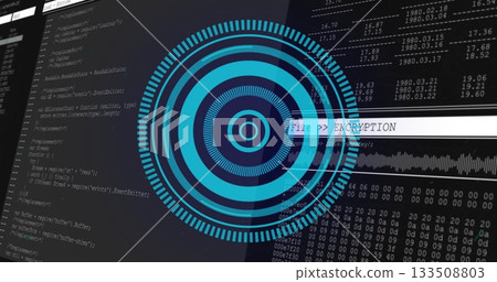 Displaying security interface at workstation, with encryption graphic, code and data panels 133508803