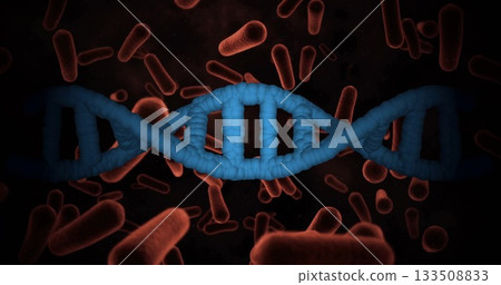 Showing blue double-helix DNA strand stretching in microscopic view, with red bacteria floating 133508833