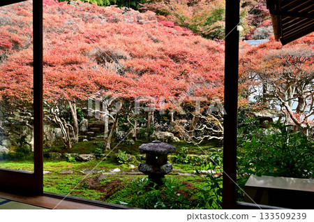 Dairyuji Temple Garden 133509239