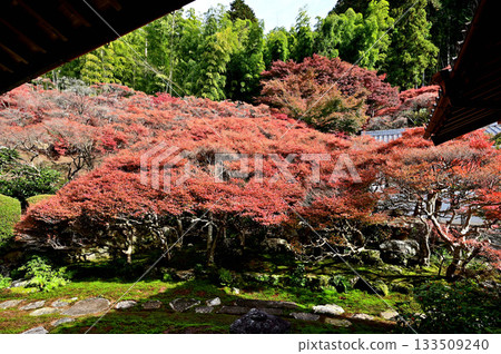 Dairyuji Temple Garden 133509240