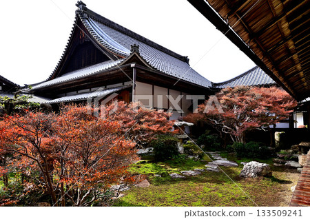 Dairyuji Temple Courtyard 133509241