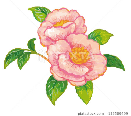 Camellia sketch material. Vector illustration material. 133509499