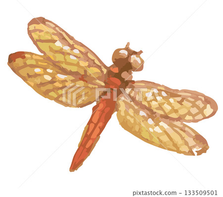 蜻蜓素描素材。向量圖素材。 蜻蜓素描素材。向量圖素材。 133509501