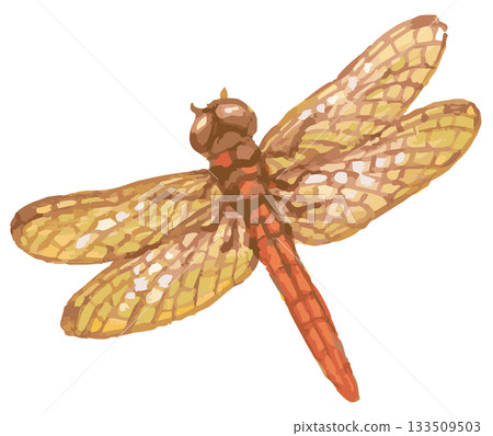 蜻蜓素描素材。向量圖素材。 133509503