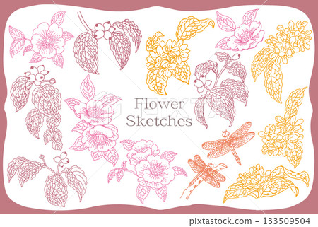 Autumn plant sketch material. Vector illustration material. 133509504