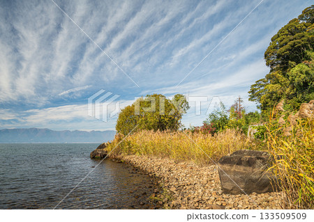 滋賀郡近江八幡市琵琶湖的秋景 133509509
