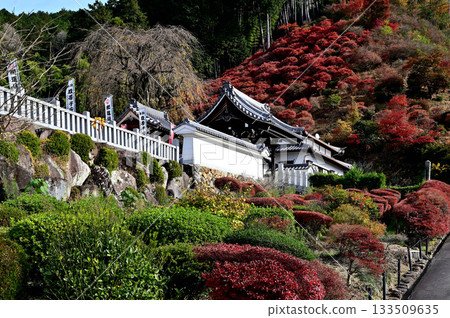 大龍寺院 133509635