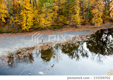 Solitary Figure Walking on Autumn Riverbank 133509702