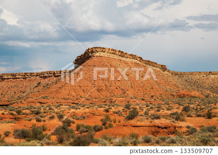 Desert Landscape with Low Red Rock Hill and Dry Shrubland Desert Landscape with Low Red Rock Hill and Dry Shrubland 133509707