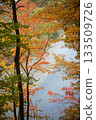 Autumn Maple Leaves Framing a View of a River Below 133509726