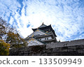 Osaka Castle  133509949