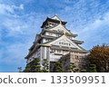 Osaka Castle  133509951