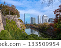 Osaka Castle  133509954