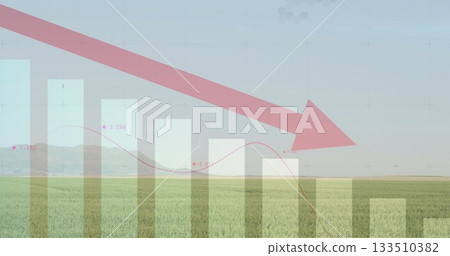 Displaying semi-transparent bar chart overlay over rural crop field, with falling red arrow trend 133510382