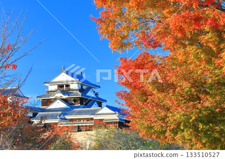 [Ehime Prefecture] Matsuyama Castle castle tower in autumn colors 133510527
