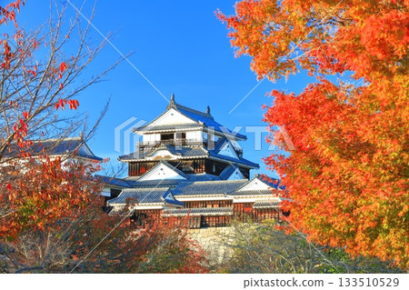 [Ehime Prefecture] Matsuyama Castle castle tower in autumn colors 133510529