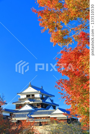 [Ehime Prefecture] Matsuyama Castle castle tower in autumn colors 133510530