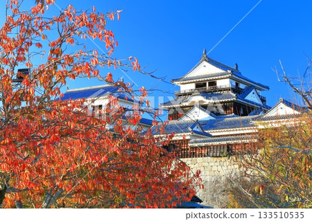 [愛媛縣]松山城秋葉城堡塔 133510535