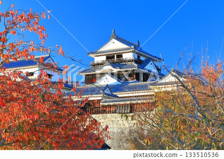 [愛媛縣]松山城秋葉城堡塔 133510536