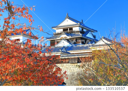 [愛媛縣]松山城秋葉城堡塔 133510537