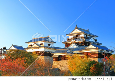 【愛媛郡】夕陽下的松山城與秋葉 133510541