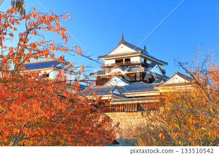 【愛媛郡】夕陽下的松山城與秋葉 133510542