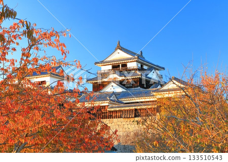 【愛媛郡】夕陽下的松山城與秋葉 133510543