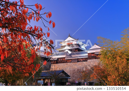 【愛媛縣】黃昏時分的松山城和秋葉 【愛媛縣】黃昏時分的松山城和秋葉 133510554