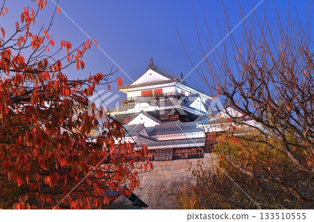 [Ehime Prefecture] Matsuyama Castle and autumn leaves at dusk 133510555