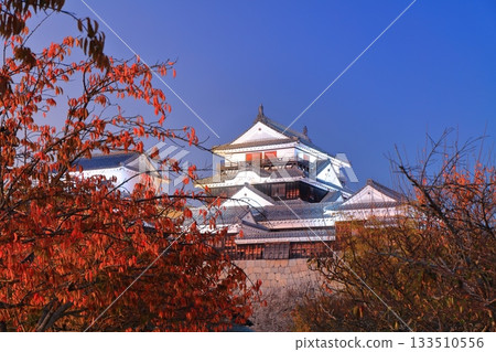 【愛媛縣】黃昏時分的松山城和秋葉 【愛媛縣】黃昏時分的松山城和秋葉 133510556