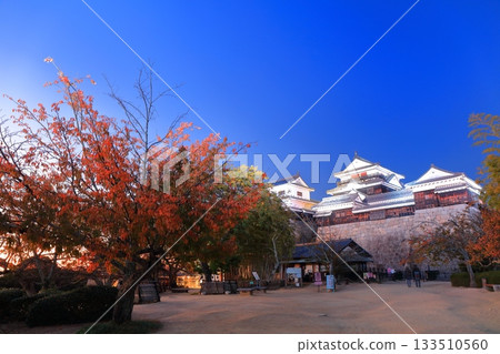 [Ehime Prefecture] Night view of Matsuyama Castle castle tower 133510560