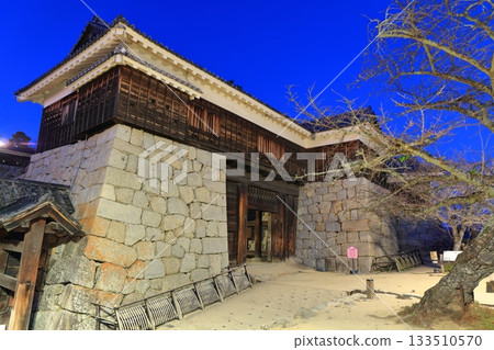 【愛媛郡】松山城筒井門（隱門）夜景 133510570