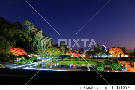 [Ehime Prefecture] Matsuyama Castle's Ninomaru Garden of Light 133510572