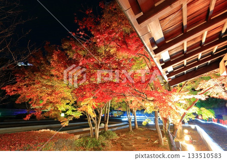 [Ehime Prefecture] Matsuyama Castle's Ninomaru Garden of Light (Jurakutei) 133510583