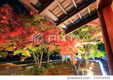 [Ehime Prefecture] Matsuyama Castle's Ninomaru Garden of Light (Jurakutei) 133510585