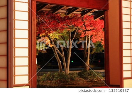 [Ehime Prefecture] Matsuyama Castle's Ninomaru Garden of Light (Jurakutei) 133510587