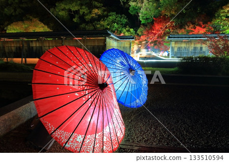[Ehime Prefecture] Matsuyama Castle's Ninomaru Garden of Light 133510594