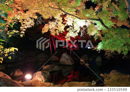 【愛媛縣】松山城二之丸光之庭園 【愛媛縣】松山城二之丸光之庭園 133510599