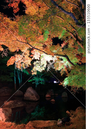 【愛媛縣】松山城二之丸光之庭園 【愛媛縣】松山城二之丸光之庭園 133510600